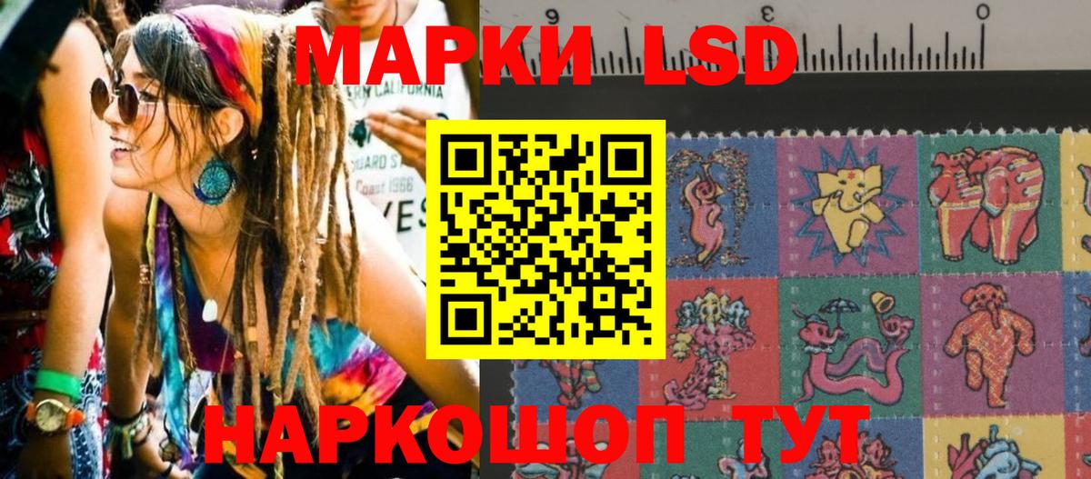 Наркотические марки 1500мкг  Наркотические марки 1500мкг  Вход с VPN  Наркотические марки  Братск 