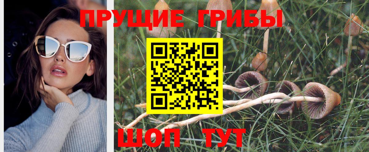 Псилоцибиновые грибы Magic Shrooms  Вход с VPN  Братск  Галлюциногенные грибы Psilocybine cubensis 